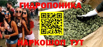 эйфоретик Гусев
