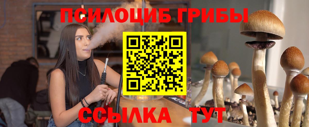 Ефремов  Псилоцибиновые грибы GOLDEN TEACHER  Вход с VPN 