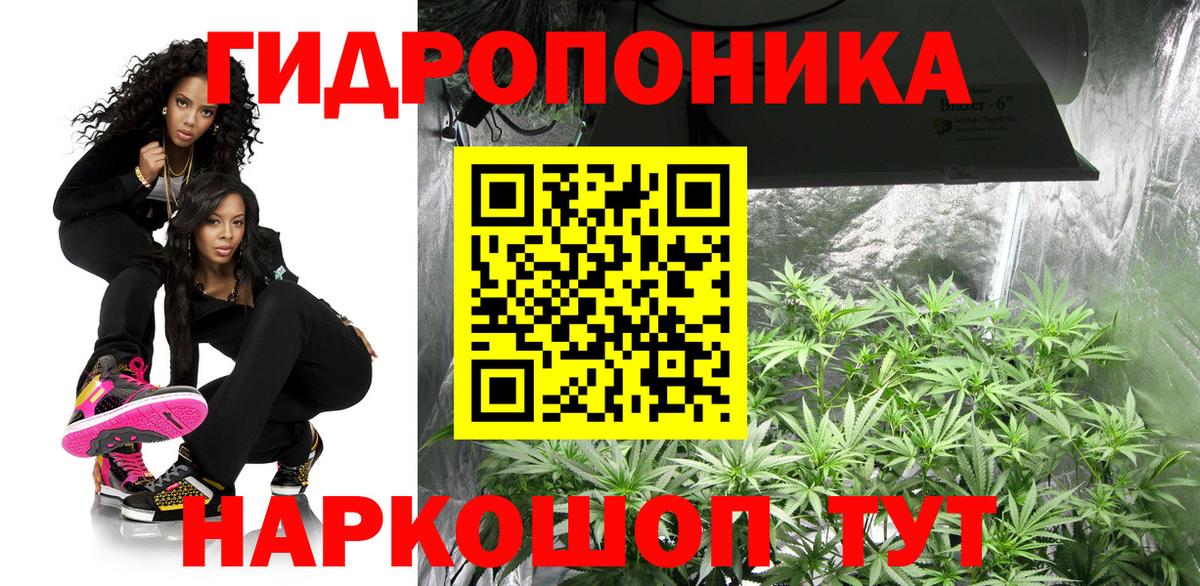 МАРИХУАНА план  Вход с VPN  Бошки Шишки Amnesia  Бошки марихуана White Widow  Ефремов 